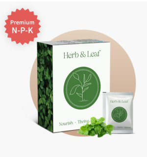 Herb & Leaf