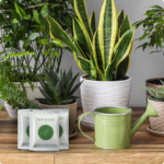 Herb & Leaf - Image 4