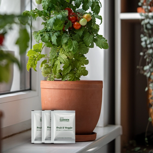 Fruit & Veggie - Image 3