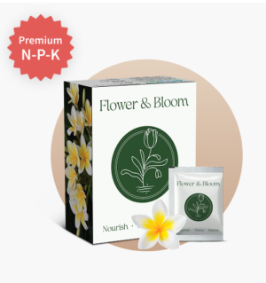 Flower & Bloom