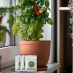 Fruit & Veggie - Image 2