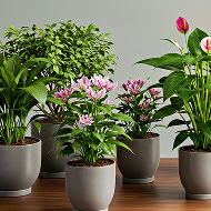 Variety of Plants at Different Stages